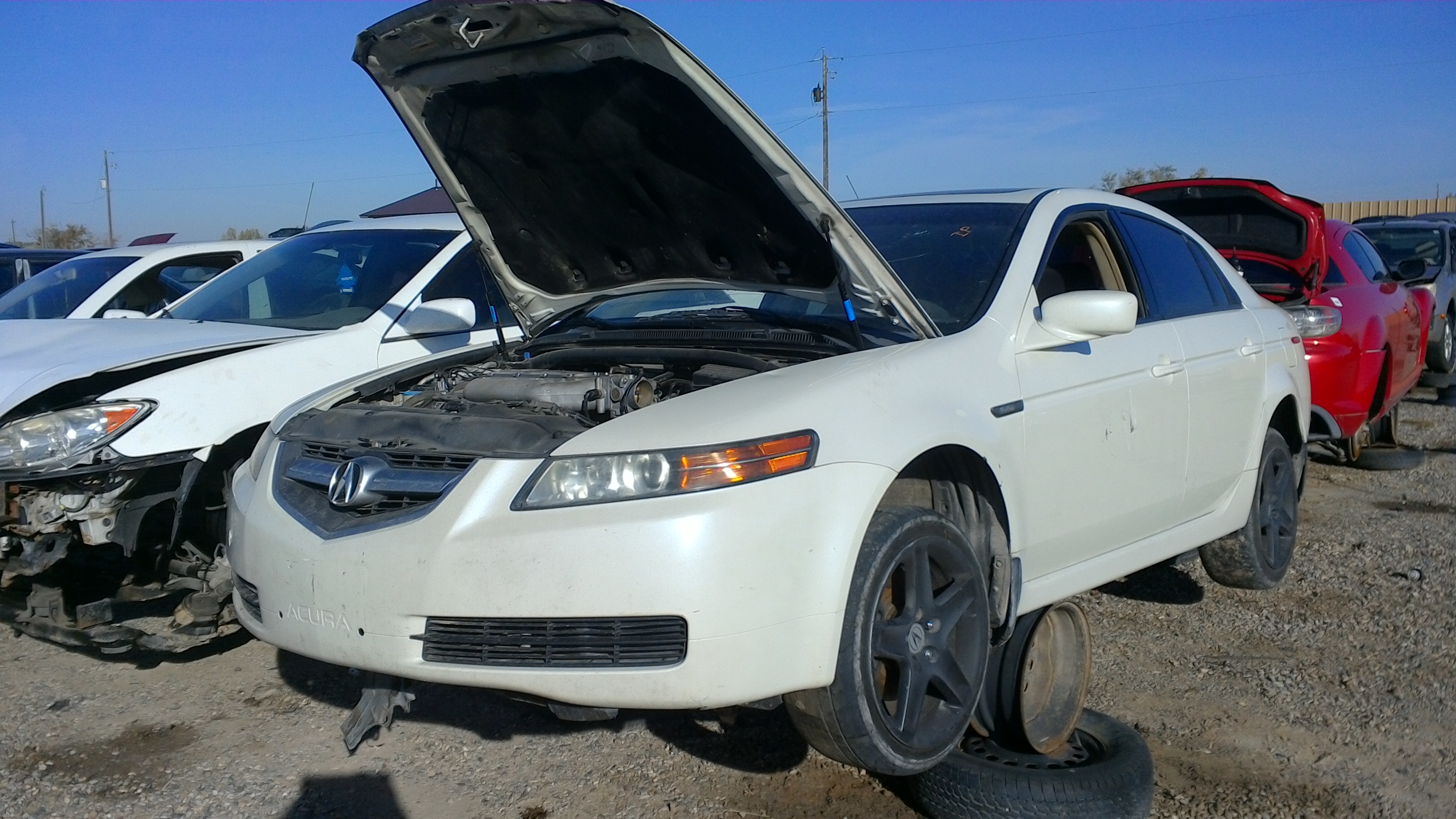 2006 ACURA TL